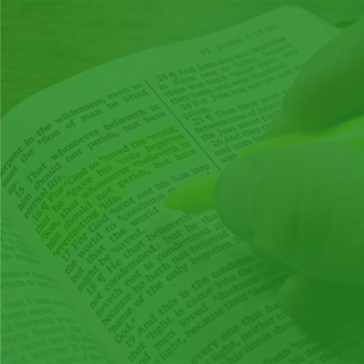 Our Core Values at One