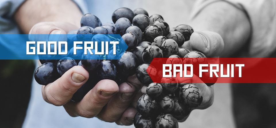 Discerning between good fruit and bad fruit of the Spirit.