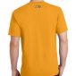 Men's gold short sleeve Christian tee shirt with One logo on back.