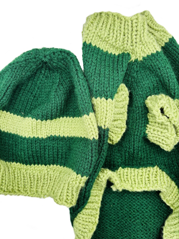 Pieces of Joy assorted pet sweaters and beanie combos.