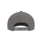 Medium Grey adjustable Flexfit NU Snapback Cap with Medium Grey OWTL (One Way Truth Life) logo, OSFM, back view.