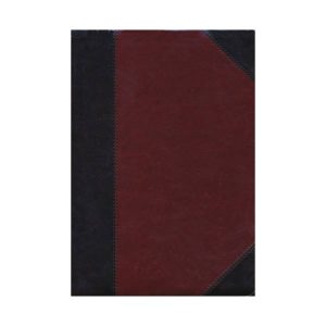 The ESV Study Large Print Leathersoft Brown Bible