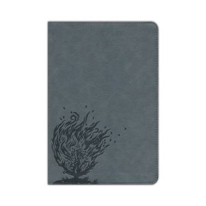 Bible: CSB, Experiencing God, Thumb Indexed, Leathertouch, Charcoal