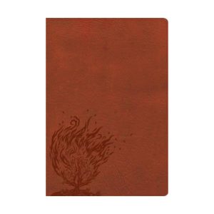 Bible: CSB, Experiencing God, Thumb Indexed, Leathertouch, Burnt Sienna