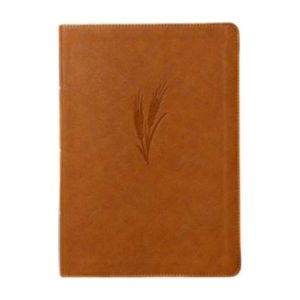 Bible: CSB, Notetaking, Large Print, Leathertouch, Camel
