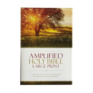 Bible: AMP, Large Print, Hardcover