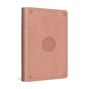 The ESV Compact Bible.