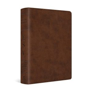 The ESV Study Personal Size Bible.