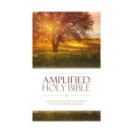 Amplified Hardcover Bible.